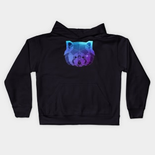 Galaxy Red Panda Kids Hoodie